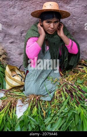 24 février 2020 : femmes portant des vêtements traditionnels et vendant des plants de maïs dans la rue. Potos’, Bolivie Banque D'Images