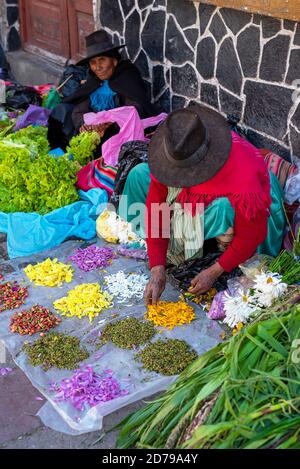 24 février 2020 : femmes portant des vêtements traditionnels et vendant des pétales et des légumes dans la rue. Potos’, Bolivie Banque D'Images