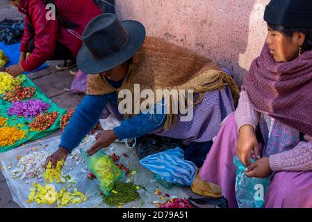 24 février 2020 : femmes portant des vêtements traditionnels et vendant des plants de maïs dans la rue. Potos’, Bolivie Banque D'Images