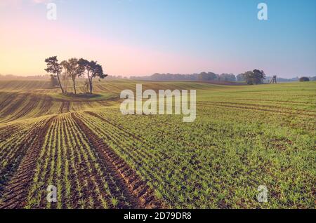 Magnifique paysage rural au lever du soleil coloré. Banque D'Images
