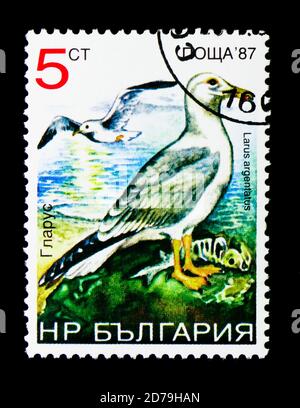 MOSCOU, RUSSIE - 21 DÉCEMBRE 2017 : un timbre imprimé en Bulgarie montre le Goéland argenté européen (Larus argentatus), série d'oiseaux, vers 1988 Banque D'Images