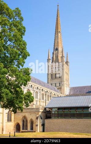 Cathédrale de Norwich Nouveau réfectoire et hesterie à la cathédrale et à la flèche de Norwich Norfolk East Anglia Angleterre GB Europe Banque D'Images