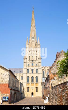 La cathédrale de Norwich et la flèche de la cathédrale près de Norwich Norfolk East Anglia Angleterre Royaume-Uni GB Europe Banque D'Images