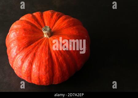 Citrouille rouge vif d'Etampes isolé sur un fond sombre avec espace de copie. Il est symbole de Halloween, de Thanksgiving et d'automne ou d'automne. Banque D'Images