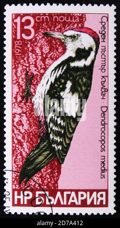 MOSCOU, RUSSIE - 2 AVRIL 2017: Un timbre imprimé en Bulgarie montre une série d'images 'espèces d'oiseaux de pacoches' vers 1978 Banque D'Images