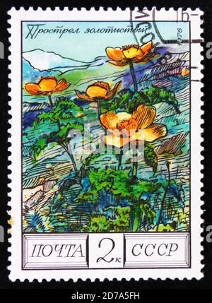 MOSCOU, RUSSIE - 2 AVRIL 2017: Un timbre de poste imprimé en URSS de la série "arbres et arbustes protégés" montre Pulsatilla vernaalis, vers 1976 Banque D'Images