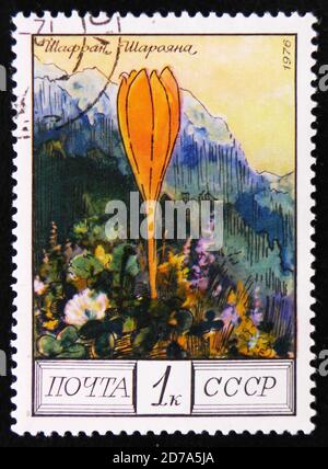 MOSCOU, RUSSIE - 2 AVRIL 2017 : un timbre imprimé en URSS montre la fleur de Crocus scharojanii, de la série 'arbres et arbustes protégés', vers 1976 Banque D'Images