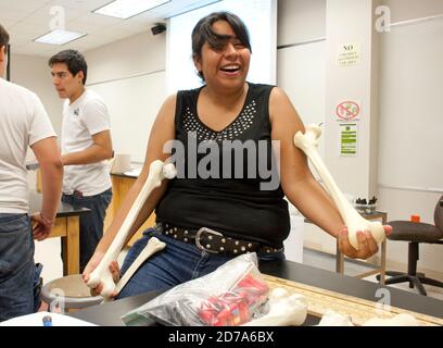 Un étudiant hispanique détient des os de jambe humains en cours de biologie à l'école secondaire Achieve Early College, sur le campus du South Texas College. L'école, qui fait partie du très réputé district scolaire McAllen dans le sud du Texas, à la frontière entre les États-Unis et le Mexique, compte près de 500 3/4 élèves, dont près de 100 000 proviennent de familles économiquement défavorisées. Banque D'Images