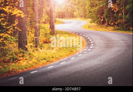 Route asphaltée avec de beaux arbres sur les côtés en automne Banque D'Images