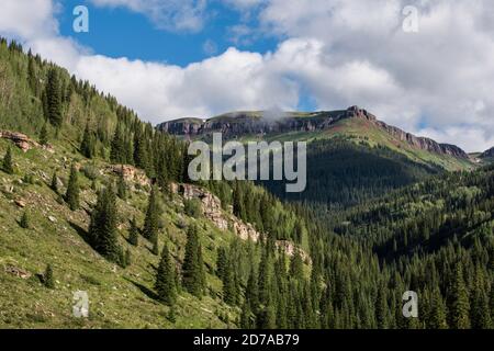 Montane, San Juan Range, Rocky Mountains, Colorado, Etats-Unis, par Bruce montagne/Dembinsky photo Assoc Banque D'Images