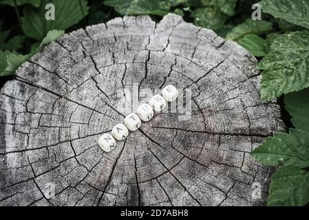 Mot nature en bois de perles alphabet sur une souche d'arbre dans la forêt de surface. Banque D'Images
