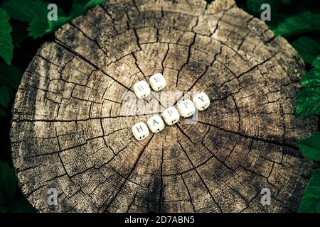 Mot être heureux de perles en bois alphabet sur une surface souche d'arbre dans la forêt. Banque D'Images