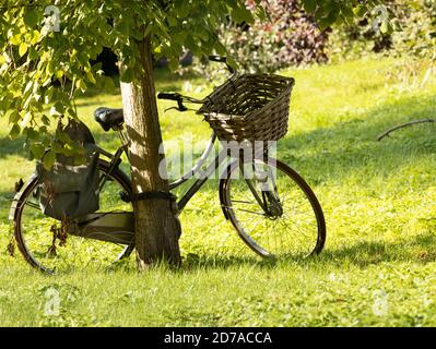 Vélo avec panier en osier appuyé contre un arbre à Cambridge ROYAUME-UNI Banque D'Images