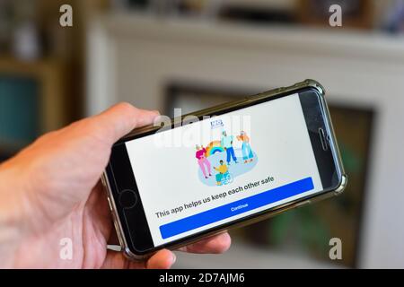 21 octobre 2020 - St Albans, Angleterre - UNE personne utilisant l'application NHS Covid-19 sur un téléphone portable Banque D'Images