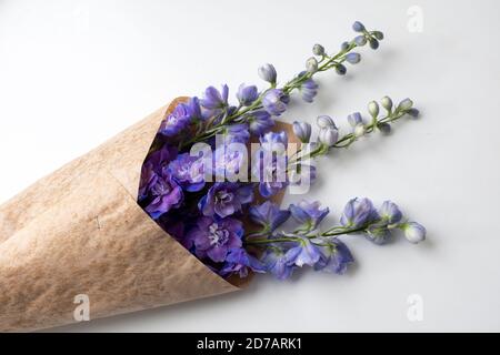 Delphiniums enveloppés dans du papier artisanal Banque D'Images