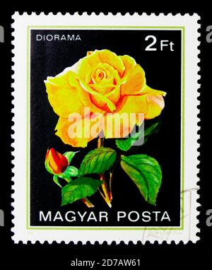 MOSCOU, RUSSIE - 26 NOVEMBRE 2017 : un timbre imprimé en Hongrie montre Diorama, série Roses, vers 1982 Banque D'Images