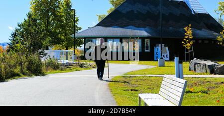 Femme âgée avec canne vue de derrière, marchant sur un chemin pavé dans un parc, en 2020. Banque D'Images