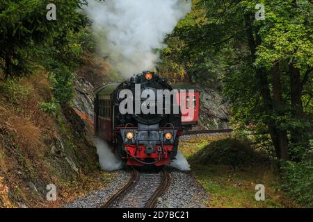 Chemin de fer à voie étroite sous la vapeur dans une vallée des montagnes Harz. Locomotive à vapeur avec wagon dans les montagnes par temps pluvieux d'automne. Arbres et ro Banque D'Images