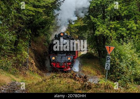 Locomotive à vapeur dans une vallée des montagnes Harz. Chemin de fer à voie étroite avec wagon dans les montagnes avec des arbres et des faces de roche dans le bas Banque D'Images