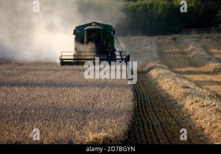 AJAXNETPHOTO. SOUTHAMPTON, ANGLETERRE. - NUAGE DE POUSSIÈRE - MOISSONNEUSE-BATTEUSE BATTAGE DU BLÉ. PHOTO:JONATHAN EASTLAND/AJAX REF:D60508 139 Banque D'Images