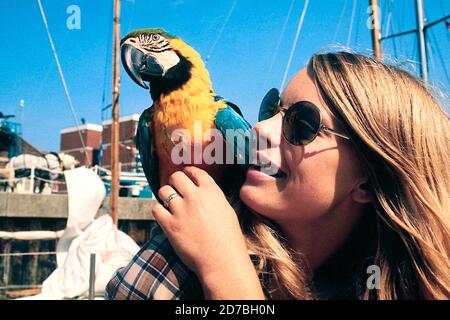 AJAXNETPHOTO. 1973. PORTSMOUTH, ANGLETERRE. - WHITBREAD AUTOUR DE LA COURSE MONDIALE - WENDY HINDS, UN MEMBRE D'ÉQUIPAGE SUR L'OCÉAN 71 KETCH DEUXIÈME VIE AVEC PET MACAW 'BEAKY' AVANT DE COMMENCER DANS LE QUAI DE HMS VERNON. PHOTO : JONATHAN EASTLAND/AJAX REF:0559 28 Banque D'Images