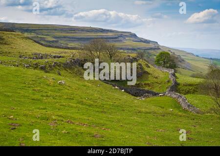 Terrasses à gradins de pierre calcaire karstique avec des clins et des grykes à Kingsdale, près d'Ingleborough dans les Yorkshire Dales. Banque D'Images