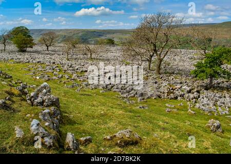 Chaussée calcaire karstique avec des cintes et des grykes à Kingsdale, près d'Ingleborough dans les Yorkshire Dales. Banque D'Images