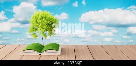 Arbre croissant d'un livre ouvert sur une table en bois, Knowledge concept rendu 3d illustration Banque D'Images