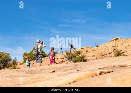 L'homme et ses enfants s'arrêtent le long d'un sentier de randonnée pour prendre une photo d'un corbeau dans une succursale du parc national d'Arches, Utah Banque D'Images