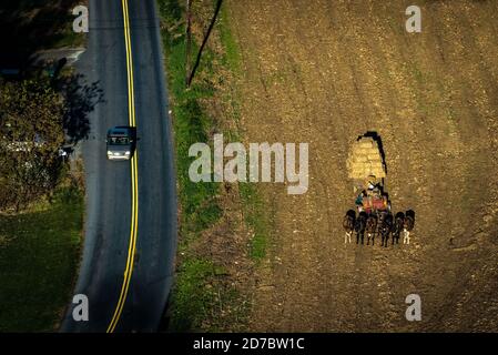 Amish, comté de Lancaster, Pennsylvanie. Vue aérienne du temps de récolte. Banque D'Images