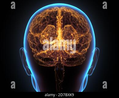 Rayons X de la tête et du cerveau humain dans le concept des connexions neuronales et des impulsions électriques. Banque D'Images