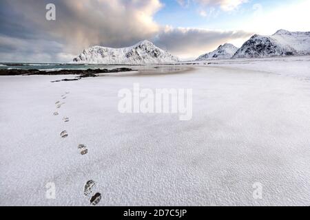 Sentier de glace et de neige et empreintes de pas sur la plage dans les îles Lofoten, en Norvège Banque D'Images