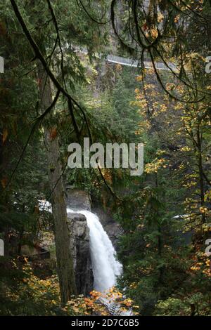 Les chutes Elk et le pont suspendu dans le parc provincial près de Campbell River, sur l'île de Vancouver (Colombie-Britannique) Banque D'Images