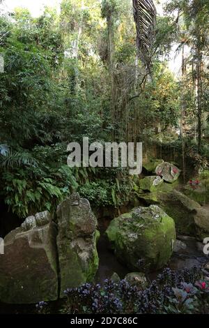 De grands rochers et arbres sont vus à Goa Gajah, également connu sous le nom de grotte des éléphants, sur l'île de Bali près d'Ubud, en Indonésie le 1er juillet 2015. Credit: Yuriko Nakao/AFLO/Alamy Live News Banque D'Images