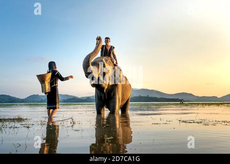 Lac Lak, province de Dak Lak, Vietnam-6 septembre 2020 : les jeunes de la minorité ethnique baignent leurs éléphants dans le lac Lak, province de Dak Lak, Vietnam Banque D'Images