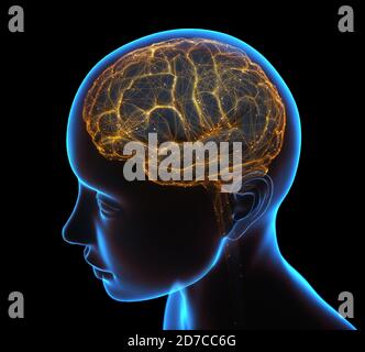 Rayons X de la tête et du cerveau humain dans le concept des connexions neuronales et des impulsions électriques. Banque D'Images