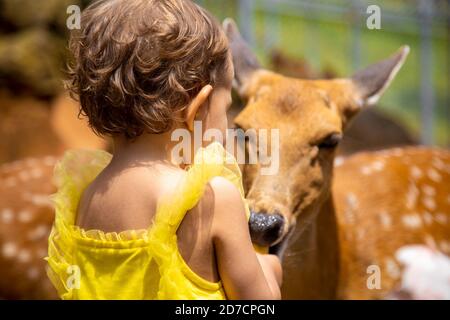 un adorable tout-petit nourrit des cerfs à la ferme. Belle petite enfant animaux de compagnie dans le zoo. Une fille heureuse et excitée le week-end en famille Banque D'Images