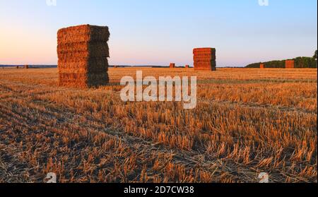 Botte de foin rectangulaire sur le champ agricole vide après la récolte Banque D'Images