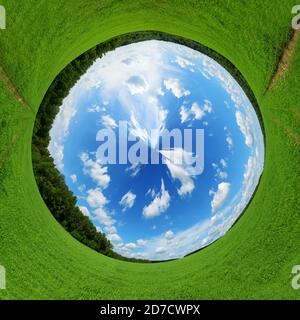 Panorama stéréographique ensoleillé de l'été avec champ vert et ciel bleu avec nuages blancs. Banque D'Images