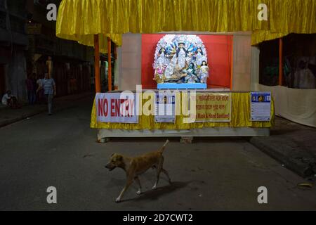 Kolkata, bengale-Occidental, inde. 21 octobre 2020. Le membre du comité de Puja a mis ''no entry'' signe devant le pantal comme kolkata haut tribunal de déclar tous les pandas puja comme zone de confinement à Kolkata.Durga puja est l'un des festivals les plus populaires célébrés dans le Bengale occidental et en particulier à Kolkata, Mais le tribunal de kolkata a déclaré que les pandals de Puja étaient des « zones d'entrée interdite » et des « zones de confinement » pour tous les visiteurs au milieu de la pandémie de covid19. Credit: Tamal Shee/ZUMA Wire/Alay Live News Banque D'Images