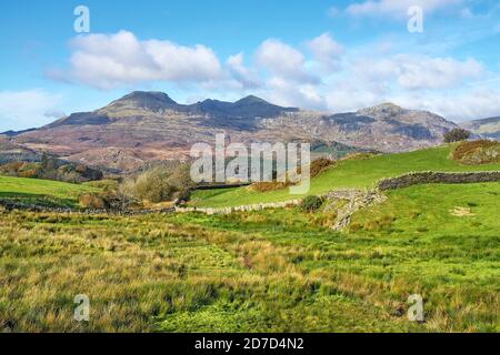 Moelwyn Mountains, à l'ouest, près de Llan Festiniog avec Moelwyn Bach à gauche et Moelwyn Mawr au centre Pays de Galles du Nord Royaume-Uni octobre 2019 3167 Banque D'Images