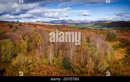 Les couleurs d'automne ont vraiment pris place à travers Lowick Beacon maintenant, avec la vallée de Crake généralement s'étant tourné vers les bruns et les dorés de la saison. Banque D'Images