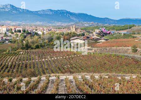 Vignoble et ville d'Elciego, pays Basque, Espagne Banque D'Images