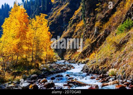 Paysage d'automne de la rivière de montagne Banque D'Images