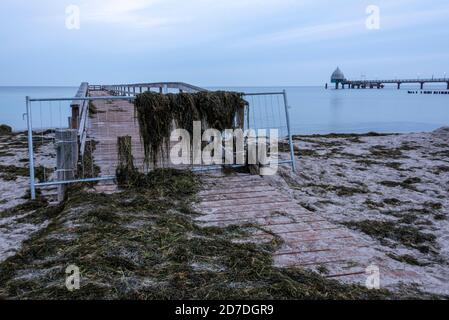 20 octobre 2020, Mecklembourg-Poméranie occidentale, Zingst: La première marée de l'année a détruit des parties de la jetée de pêche nouvellement construite dans la station Baltique de Zingst. De plus, les plages du Darß étaient complètement couvertes d'algues. Photo: Stephan Schulz/dpa-Zentralbild/ZB Banque D'Images