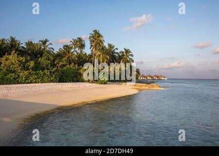 Como Maalifushi; atoll de Thaa; Maldives Banque D'Images