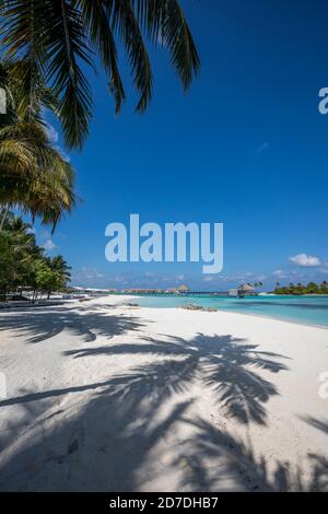 Como Maalifushi; Hotel Beach; Maldives Banque D'Images