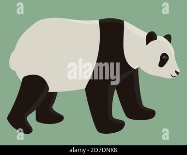 Randonnée pédestre, panda adulte. Joli animal de style dessin animé. Illustration de Vecteur