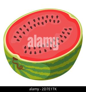 Demi-pastèque de style dessin animé. Fruit juteux isolé sur fond blanc. Illustration de Vecteur