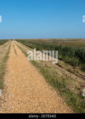 Marais de CLEY, CLEY à côté de la mer, Norfolk, East Anglia, Angleterre, Royaume-Uni. Banque D'Images
